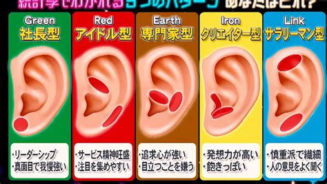 耳型 性格